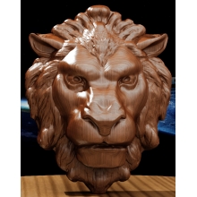 Голова льва-17